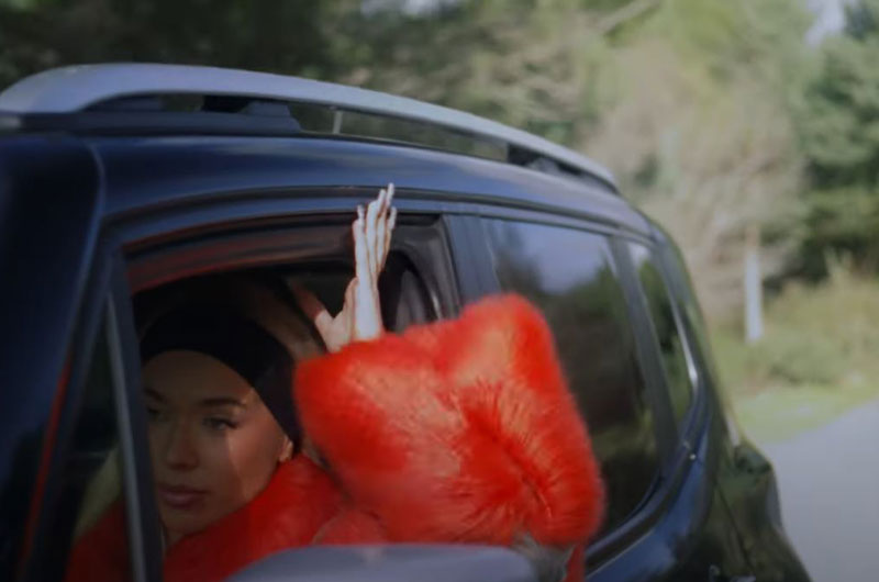 Imagen del video "Lian Faz - Instinto"